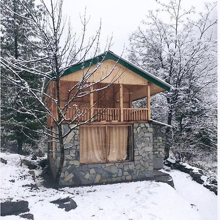 Villa Moksha - By The River Jibhi Exterior foto